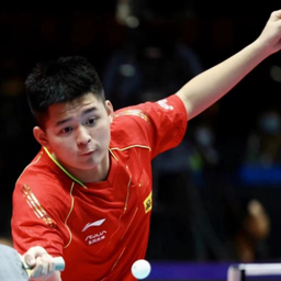 他们明白 他们明白