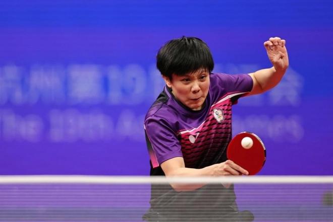 毛球传奇 毛球传奇