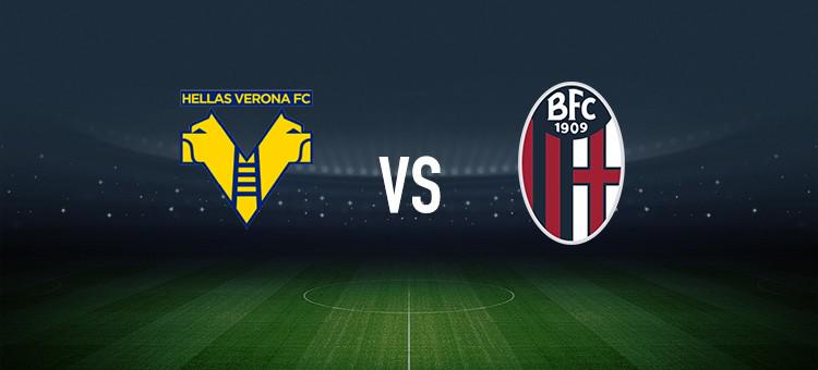 建立了深厚 建立了深厚