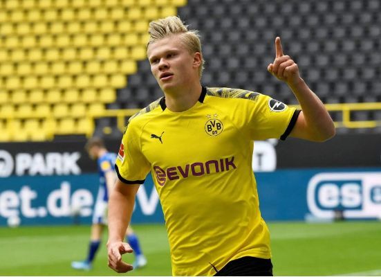 了他们对 了他们对